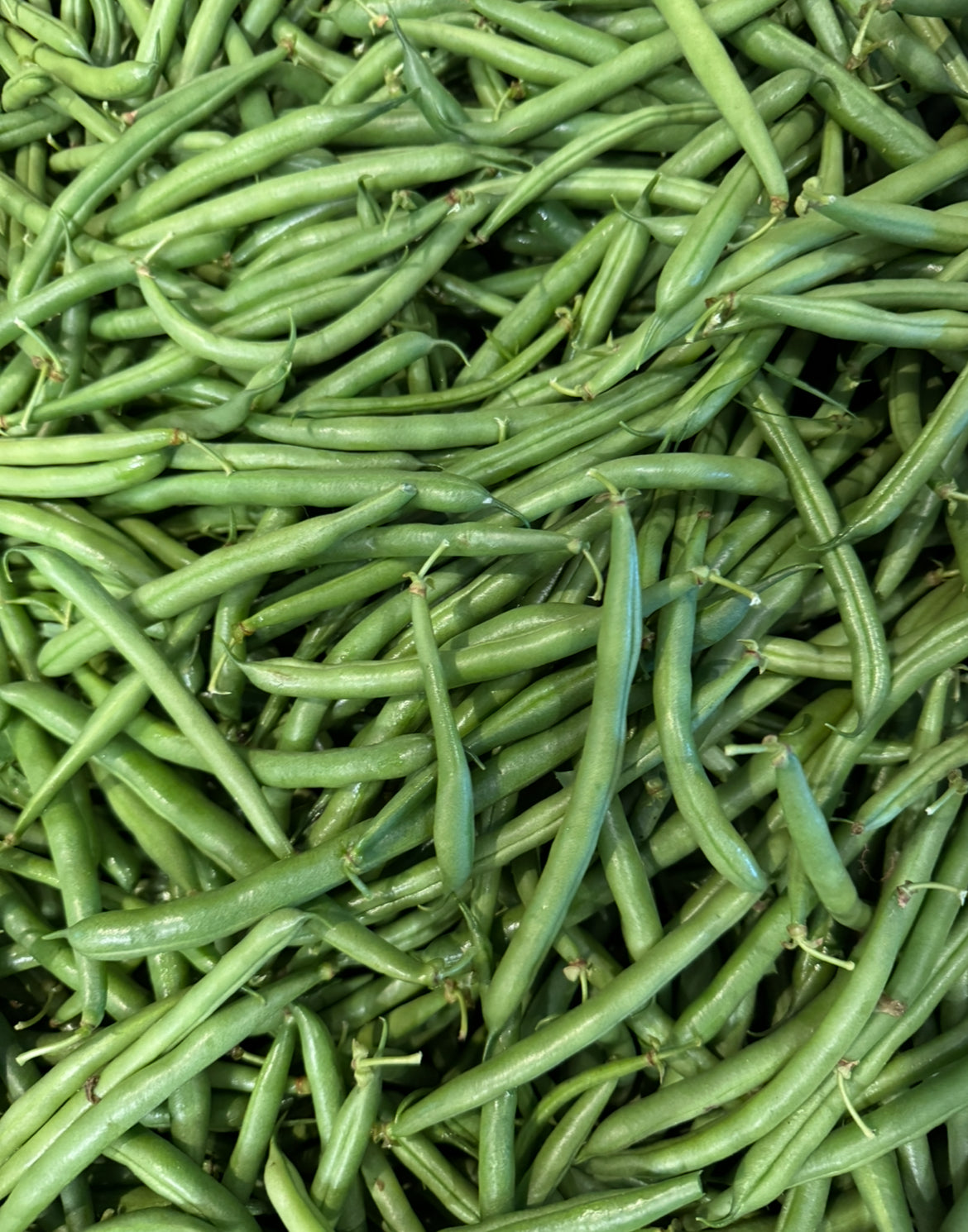 Green Beans